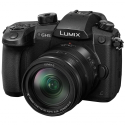 دوربین دیجیتال پاناسونیک مدل Lumix DC-GH5A