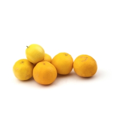 لیمو شیرین  Fresh مقدار 1 کیلوگرم