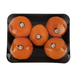 نارنگی – 900 گرم