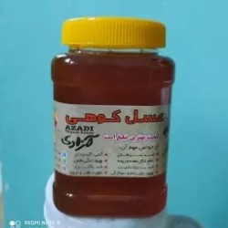 عسل کوهی  دیابتی مستقیم از زنبوردار (1 کیلویی)