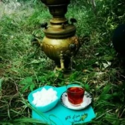 چای قلم ممتاز بهاره لاهیجان بسیار خوش عطر و طعم (800گرمی)