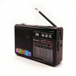رادیو GOLON مدل RX-1313